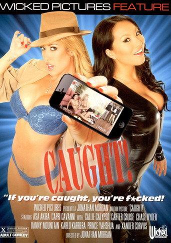 Caught! (2014) poster