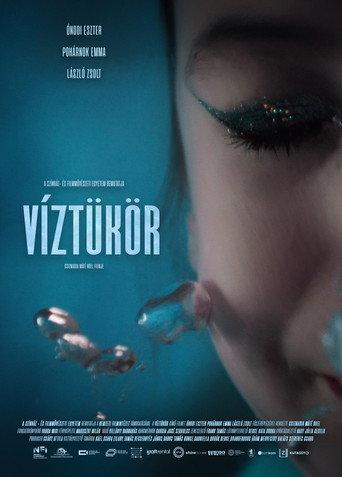 Reflections (2026) poster