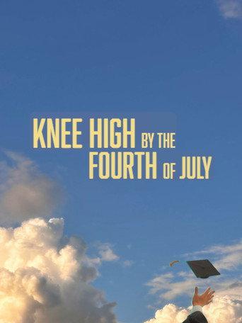 Knee High By the Fourth of July () poster