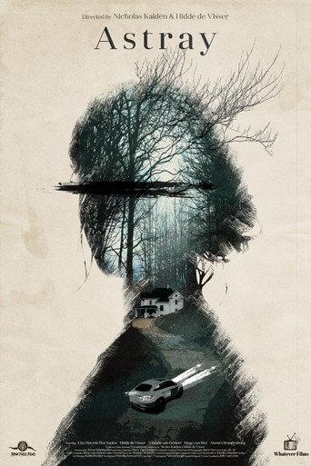 Astray () poster