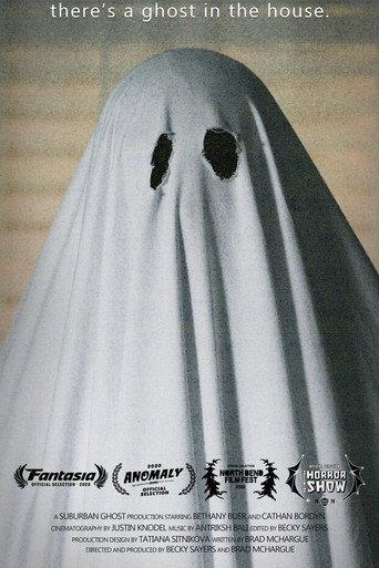 There's a Ghost in the House (2020) poster