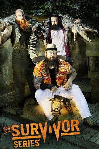 WWE Survivor Series 2013 (2013) poster
