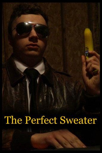 The Perfect Sweater (2019) poster