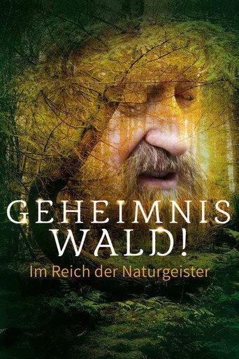 Geheimnis Wald! – Im Reich der Naturgeister () poster