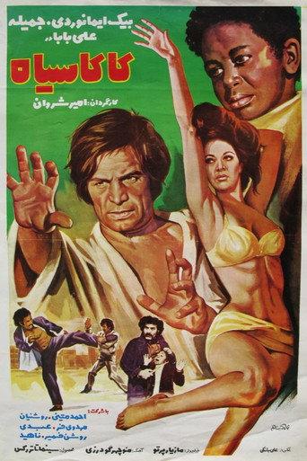 The Nigger (1973) poster