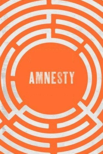 Amnesty () poster