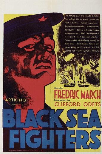 Black Sea Fighters (1942) poster