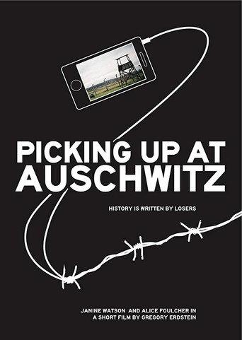 Picking Up at Auschwitz (2012) poster