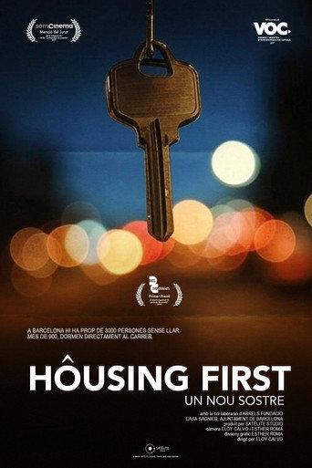 Housing First: a new shelter (2016) poster