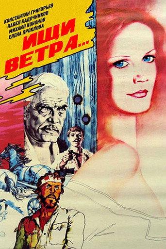 Catch the Wind (1979) poster