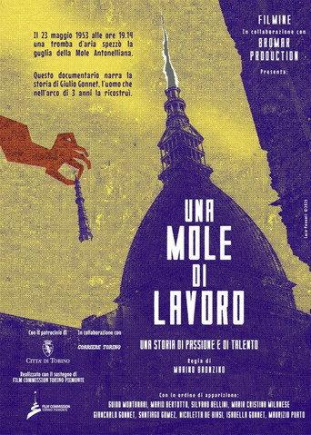 Una Mole di lavoro (2026) poster