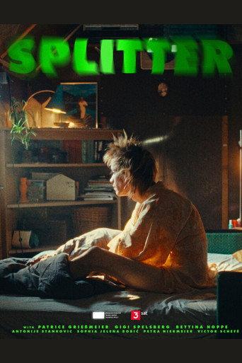 Splitter (2024) poster