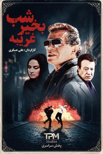 Good night stranger (2001) poster