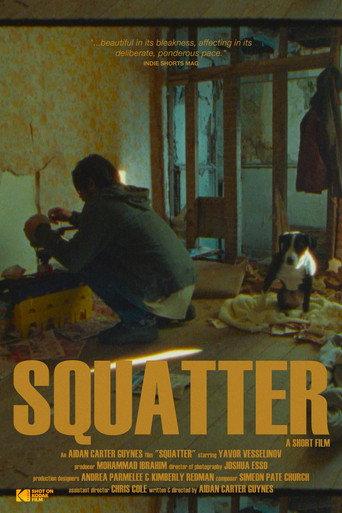 Squatter () poster