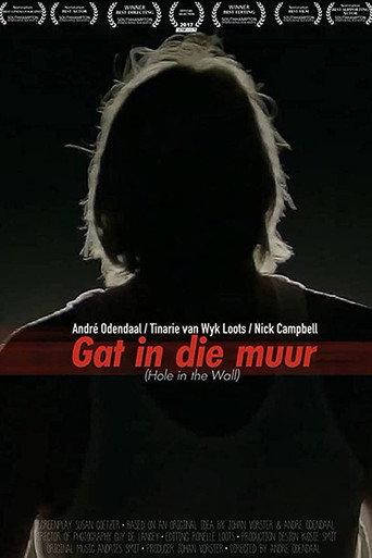 Hole In The Wall (2017) poster