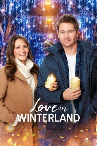 Love in Winterland (2020) poster