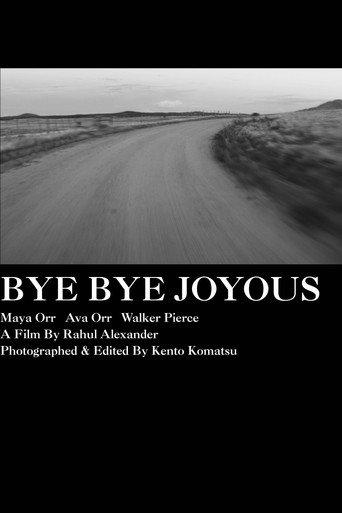 Bye Bye Joyous () poster