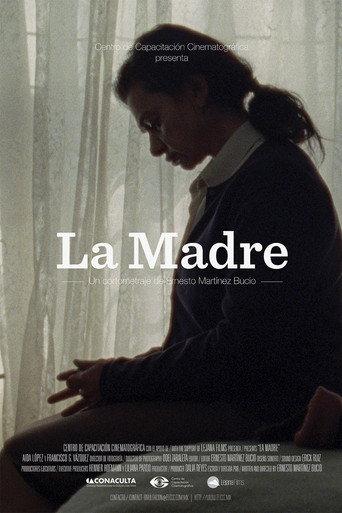 The Mother (2012) poster