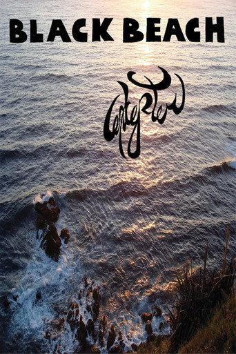 Excepter: Black Beach (2009) poster