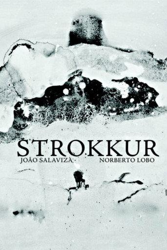 Strokkur (2011) poster