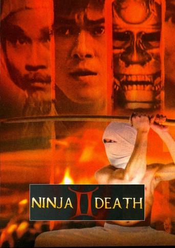 Ninja Death 2 (1987) poster