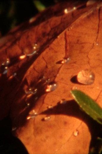 Water-soluble Doze (2012) poster