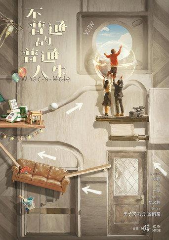 不普通的普通人生 () poster