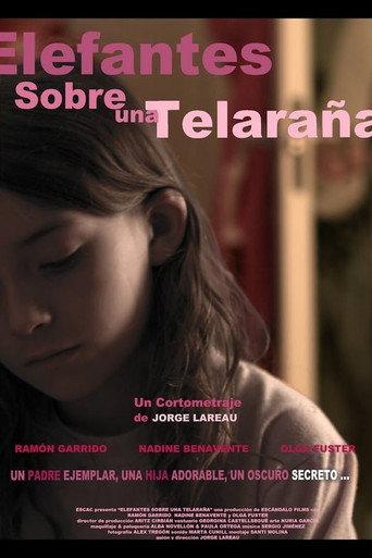 Elephants on a Cobweb (2011) poster