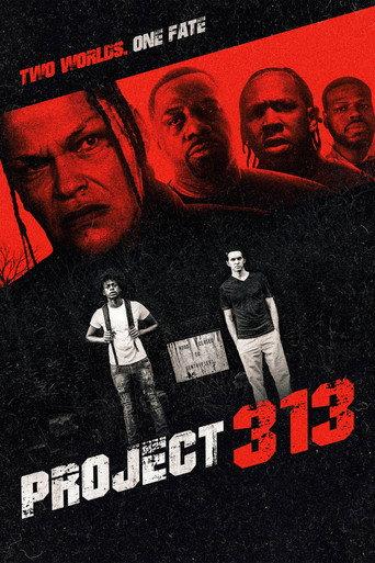 Project 313 (2026) poster