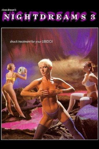 Nightdreams 3 (1991) poster