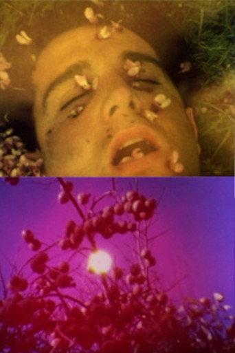 Aurore (1989) poster