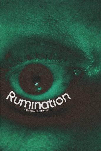 Rumination () poster