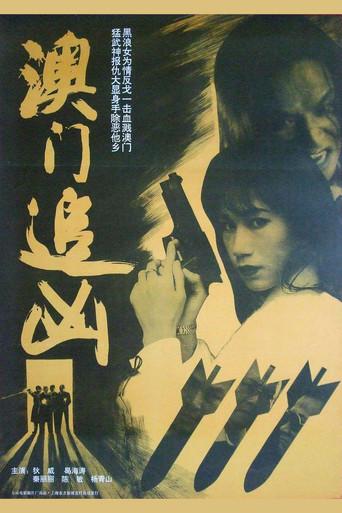 澳门追凶 (1995) poster