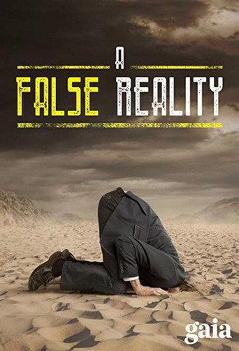 A False Reality (2015) poster