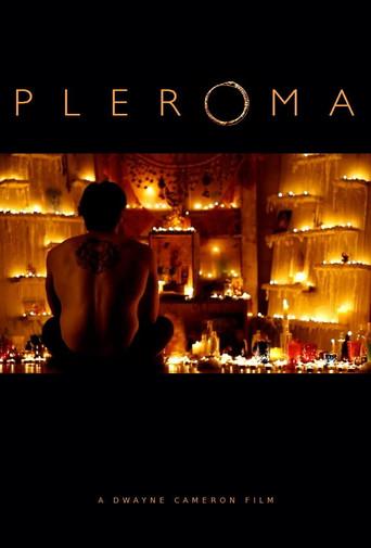 Pleroma (2013) poster