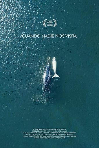 Cuando nadie nos visita (2018) poster