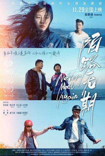 Never Meet Again (2024) poster