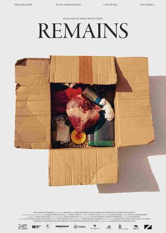 Remains (2025) poster