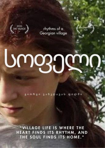 The village () poster