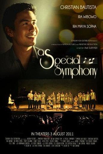 An Extraordinary Symphony (2011) poster