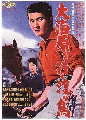 Rambling in the Sea (1961) poster