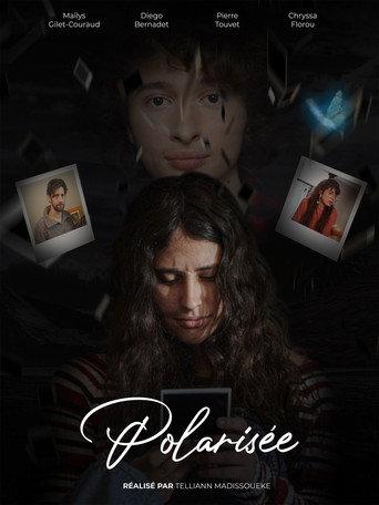 Polarized () poster