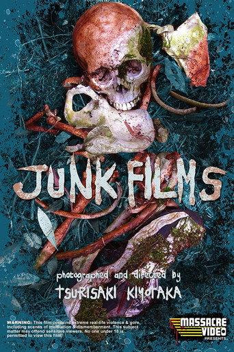 Junk Films (2007) poster