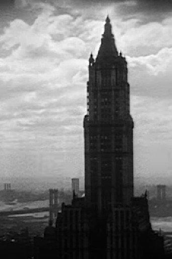 Bird's Eye View of New York (1929) poster