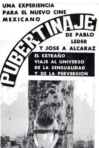 Pubertinaje (1978) poster