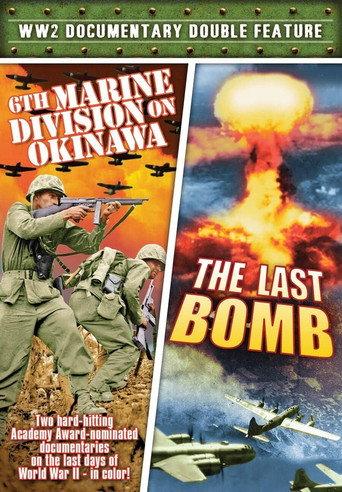 6th Marine Division on Okinawa (1945) poster