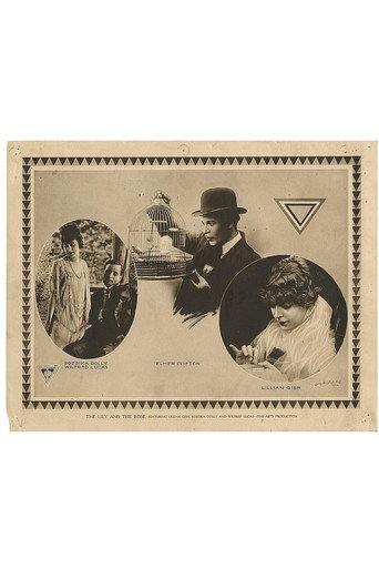 The Lily and the Rose (1915) poster