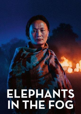 Elephants in the Fog (2026) poster