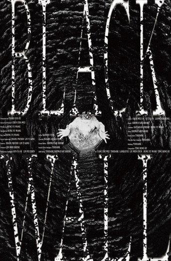 Black Wall (2024) poster