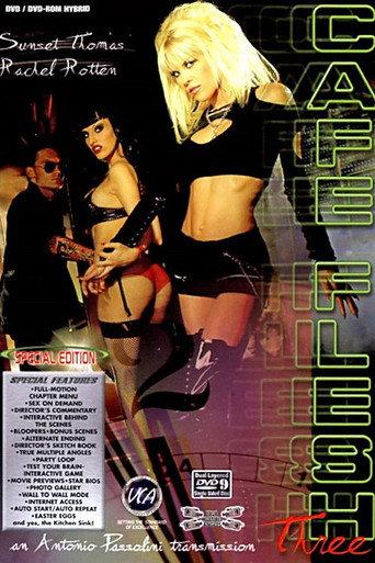 Cafe Flesh 3 (2003) poster